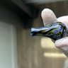 Small image 1