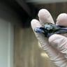 Small image 2