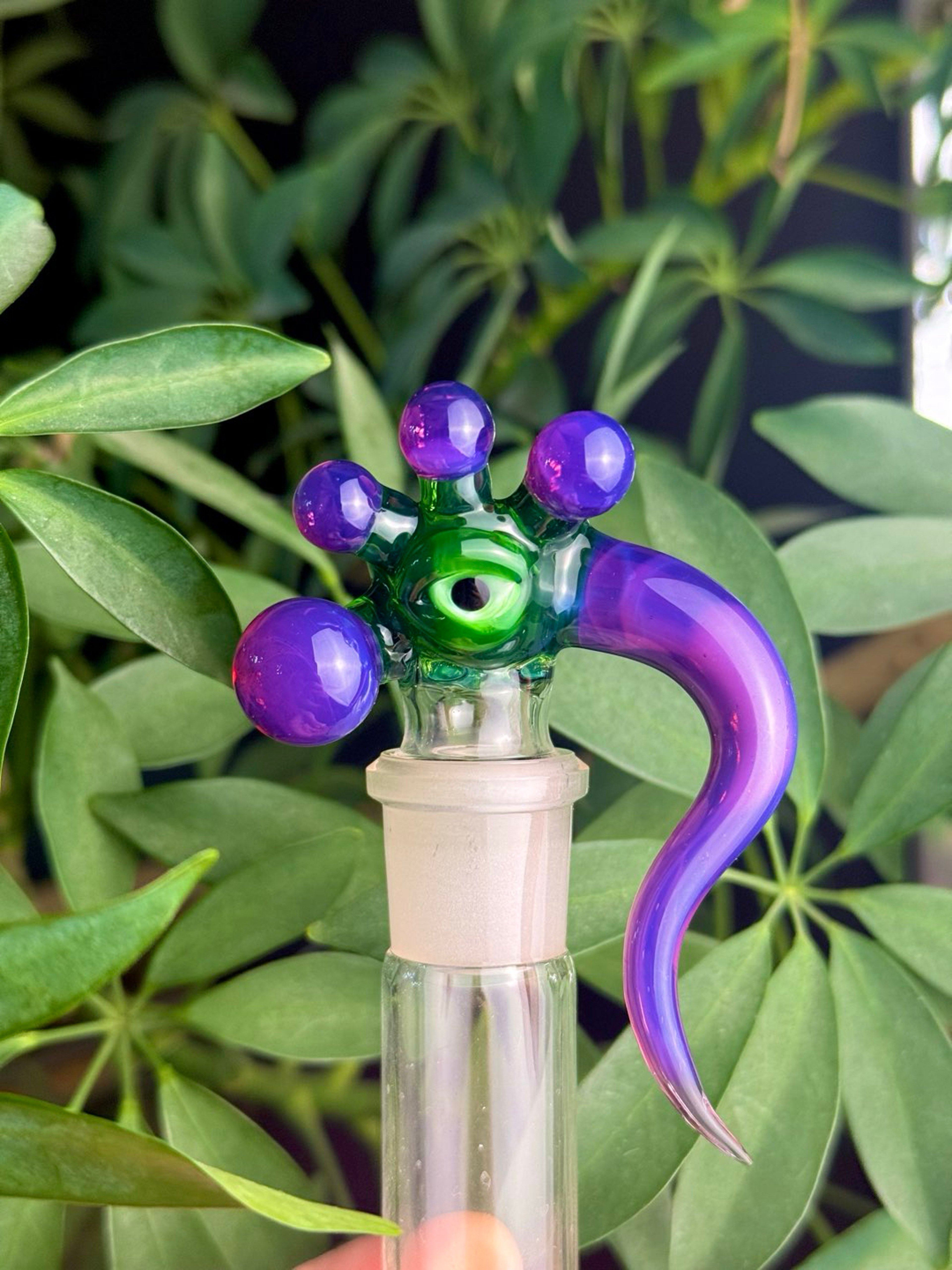 Plantphibian/Stargazer Creature image 0