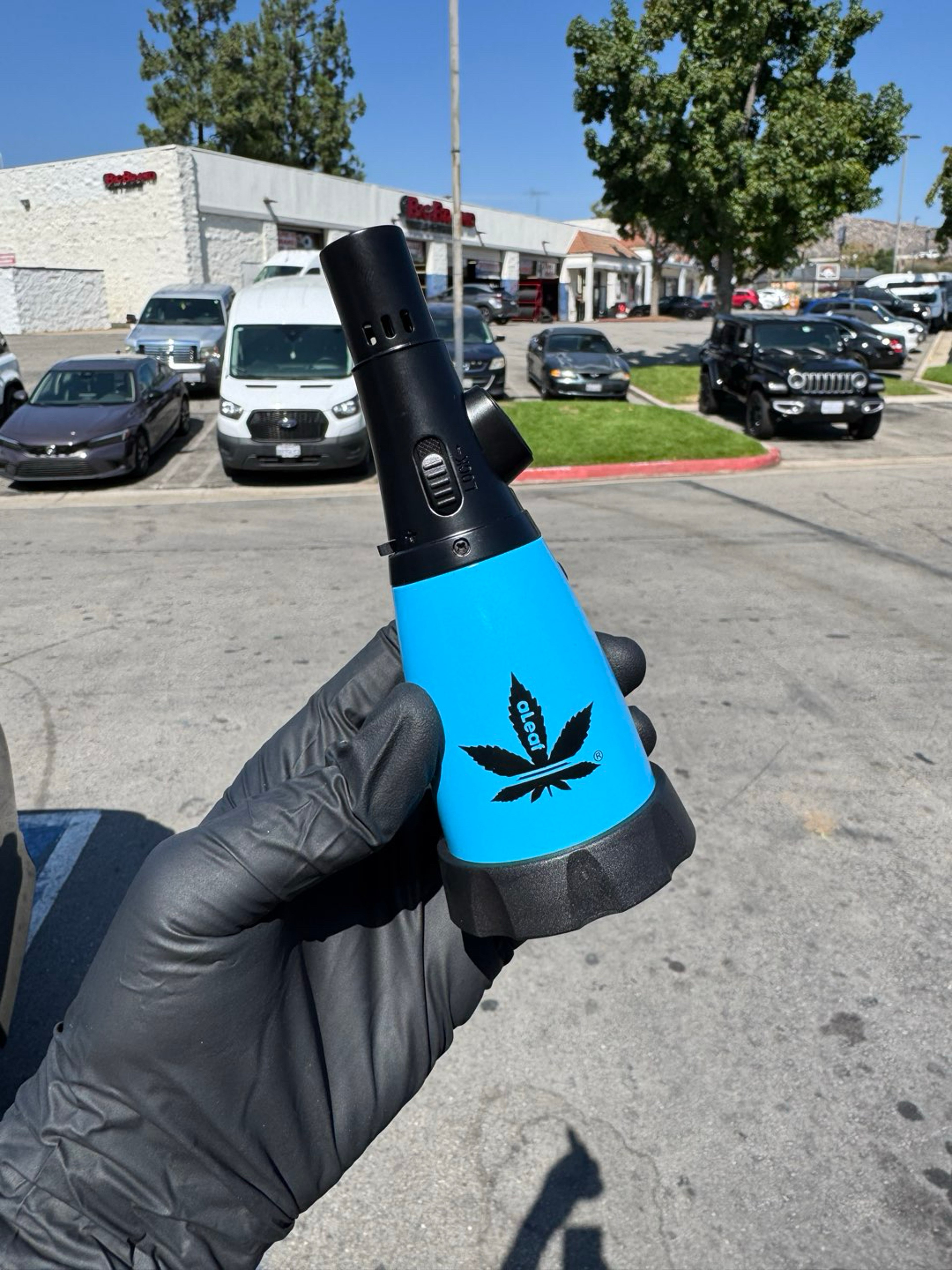Preview pic of Aleaf torch sky blue