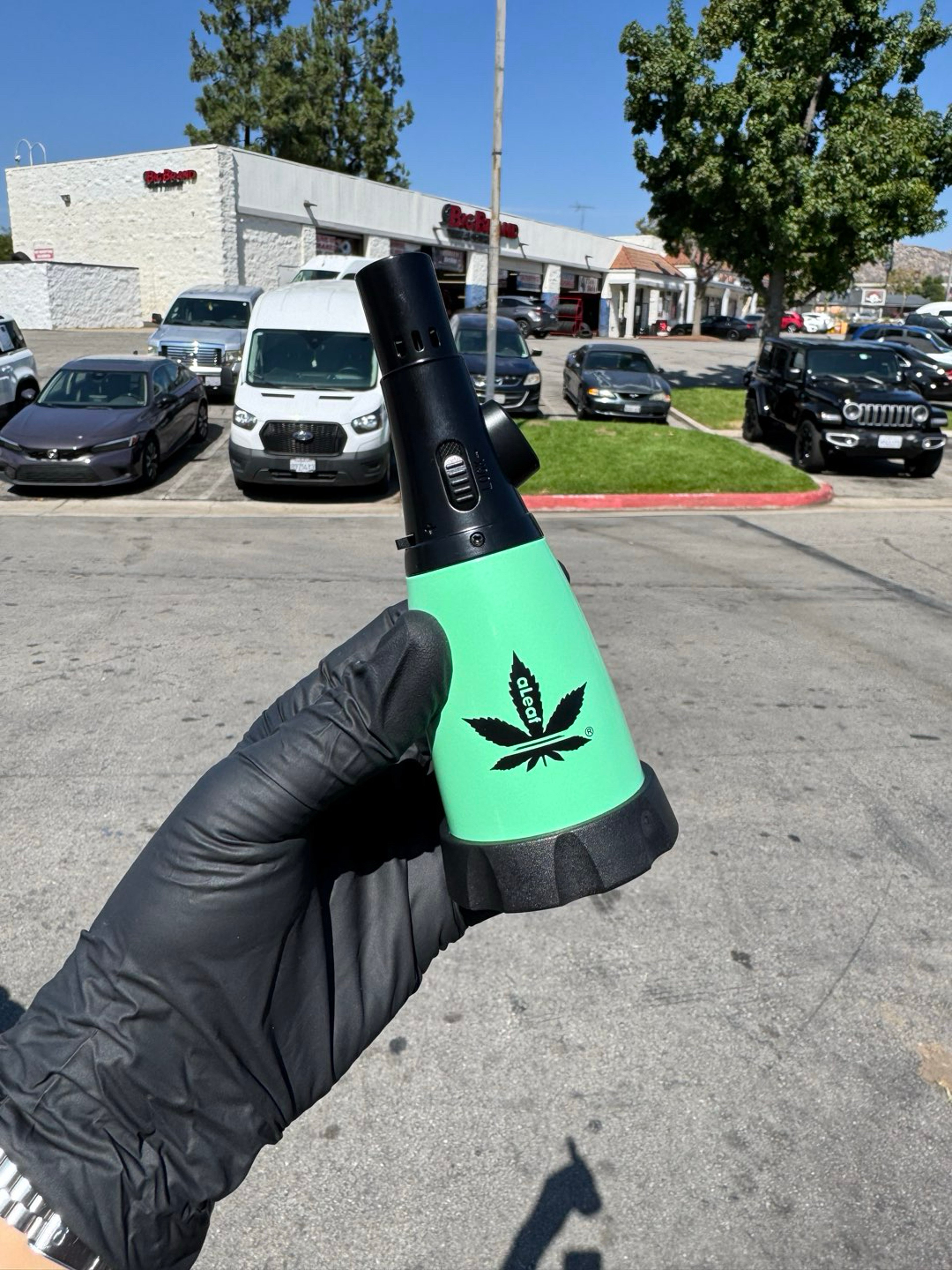 Preview pic of Aleaf green torch