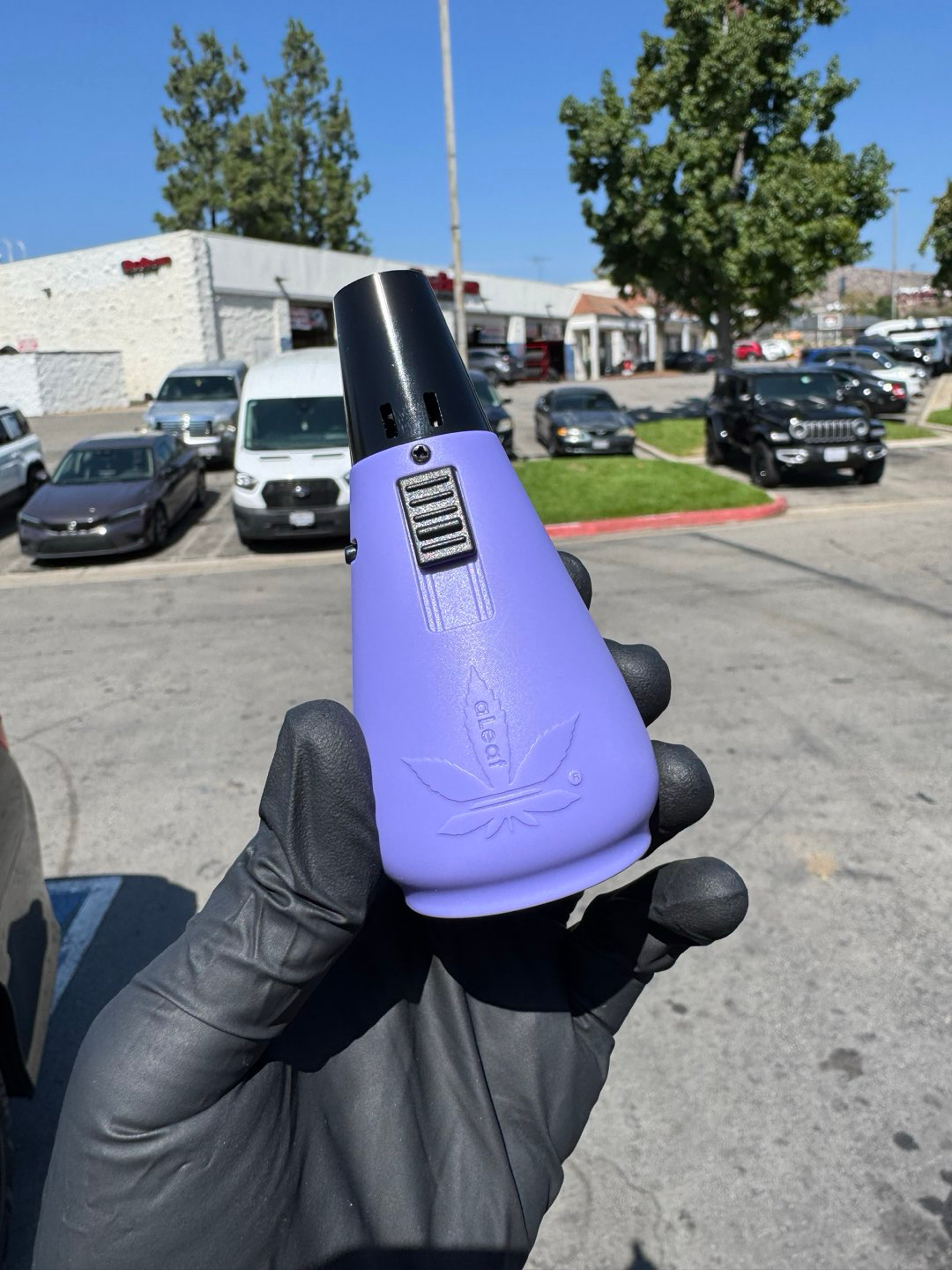 Preview pic of Aleaf purple torch