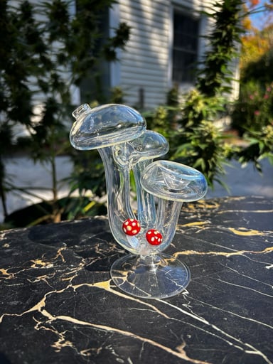 Preview pic of Dry mushroom Sherlock