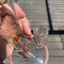 Small image 6