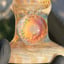 Small image 5