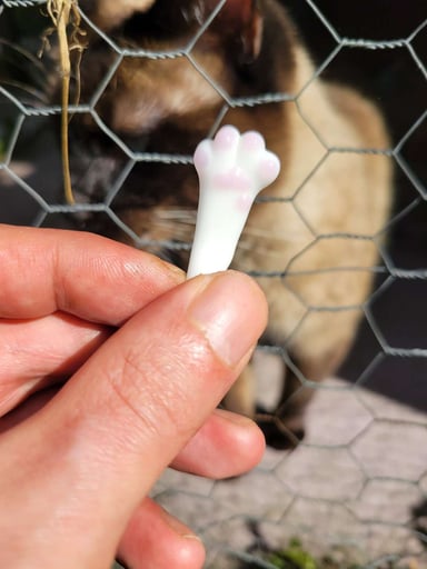 Preview pic of Kitty paw pendant