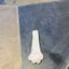 Small image 7