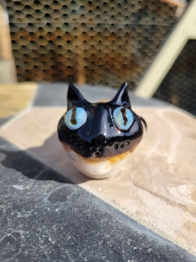 Preview pic of Siamese kitty 1