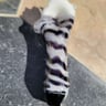 Small image 6