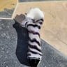 Small image 5