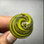 Small image 8