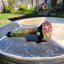 Small image 2