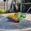 Small image 5