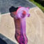 Small image 8