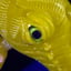 Small image 6