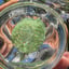 Small image 8
