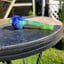 Small image 6