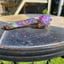 Small image 7