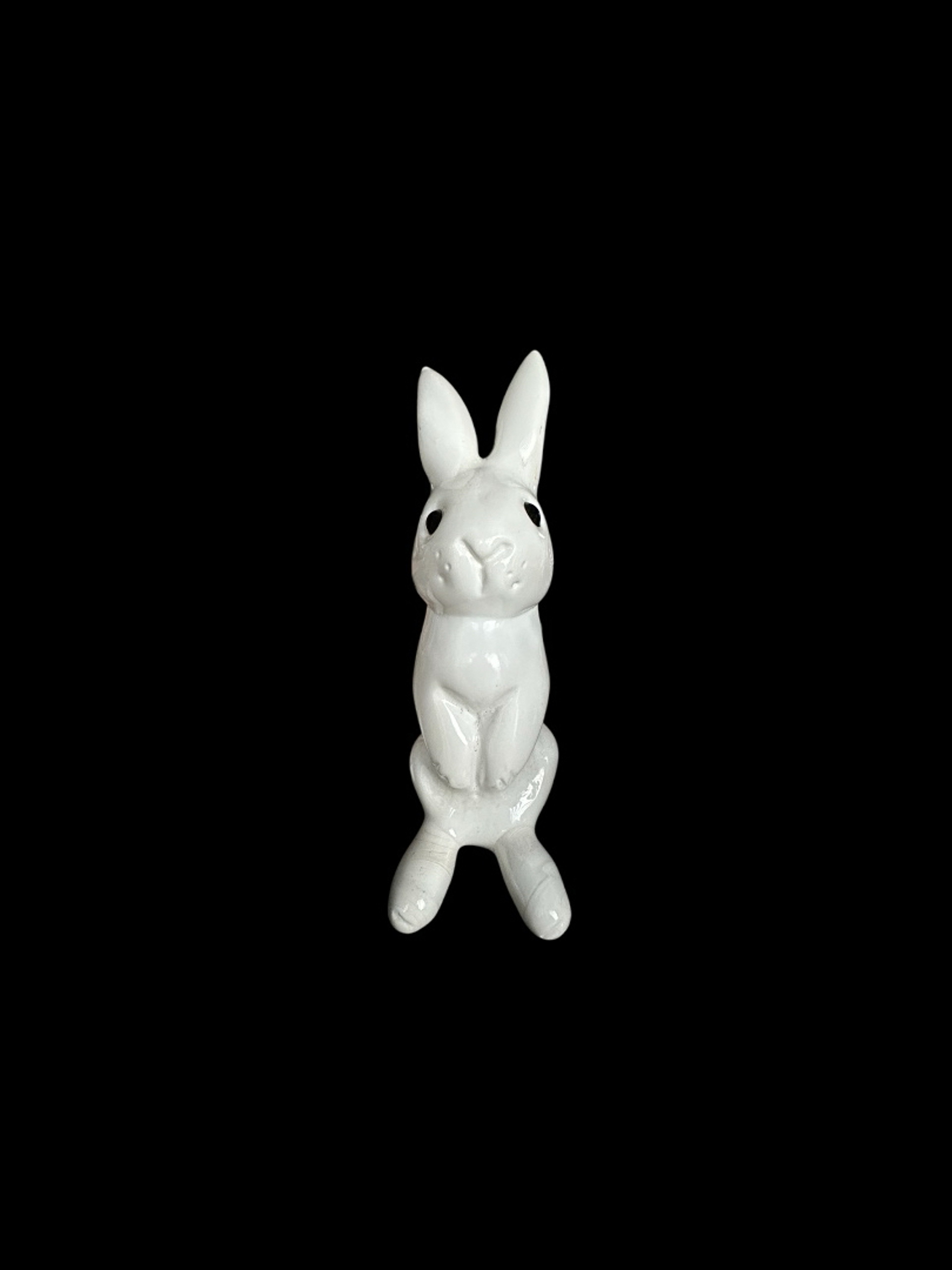 White Rabbit image 0