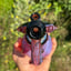 Small image 4