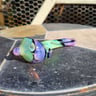 Small image 0