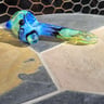 Small image 3