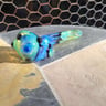 Small image 4