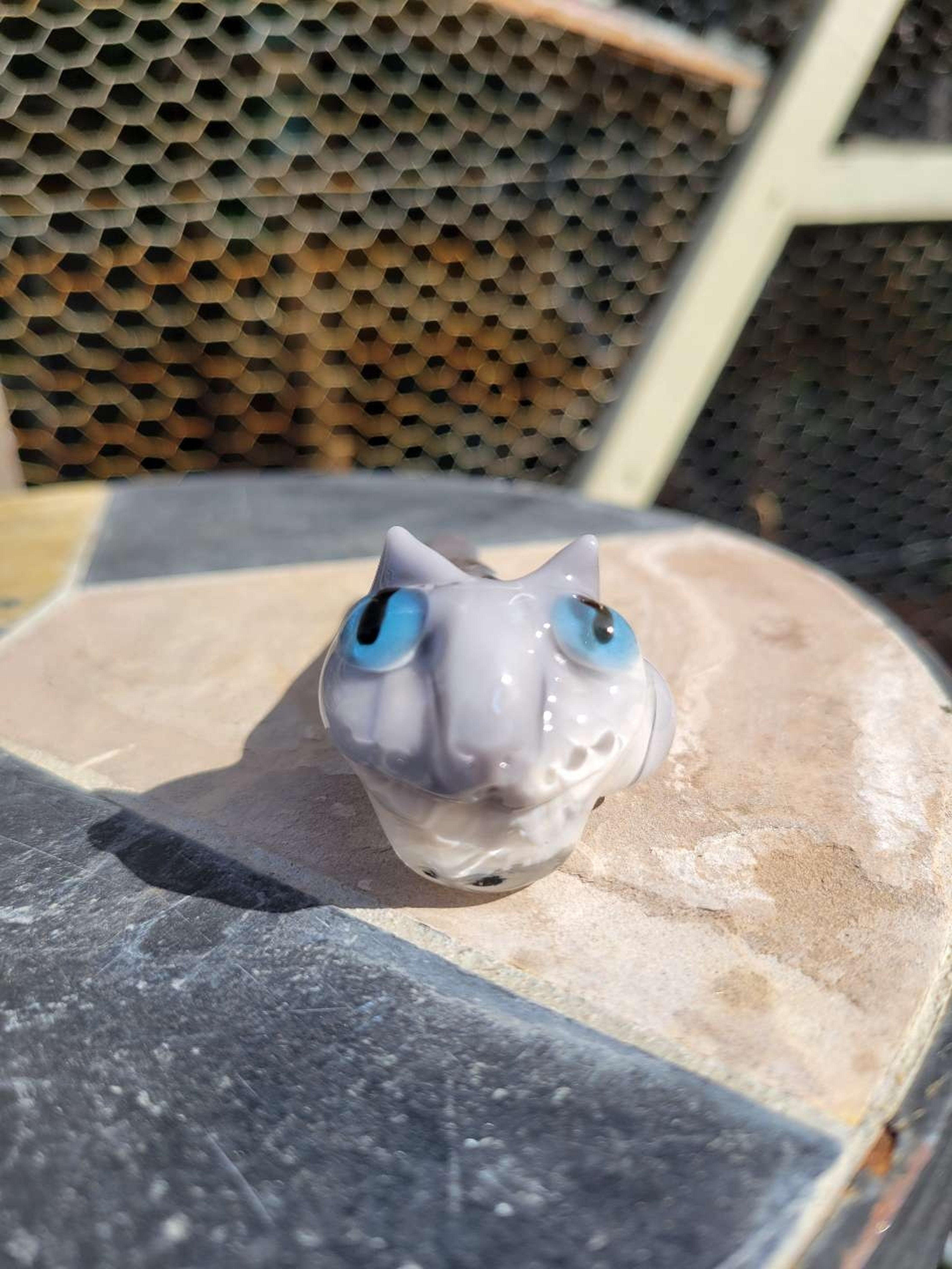 Preview pic of Blue point siamese kitty