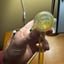 Small image 3
