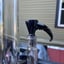 Small image 5