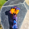 Small image 4