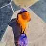 Small image 4