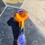 Small image 7