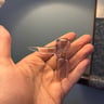 Small image 3