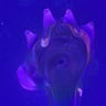 Small image 5