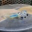 Small image 2