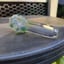 Small image 4