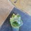 Small image 8