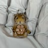 Small image 1