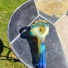 Small image 3