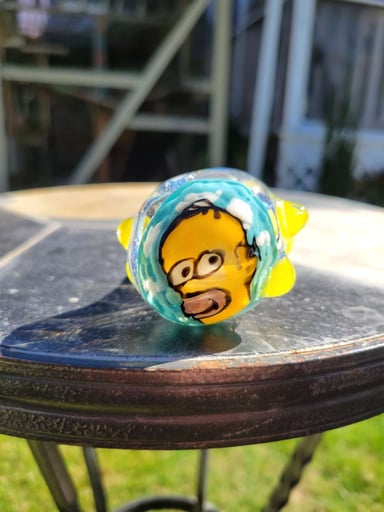 Preview pic of Homer disc flip