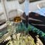 Small image 5