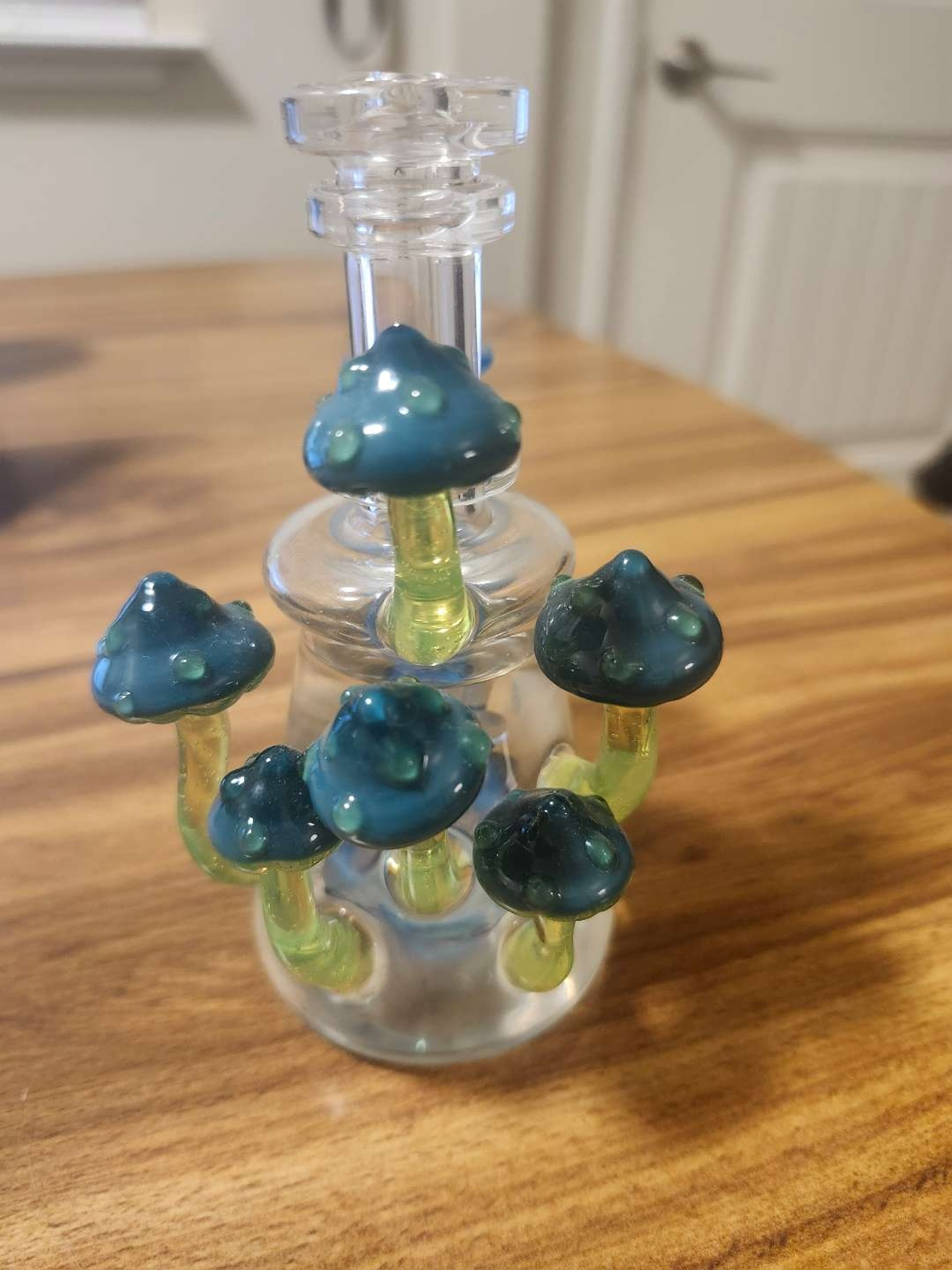 Preview pic of Jwalker Glass Mushroom Rig