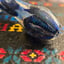 Small image 3