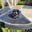 Small image 7