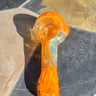 Small image 4