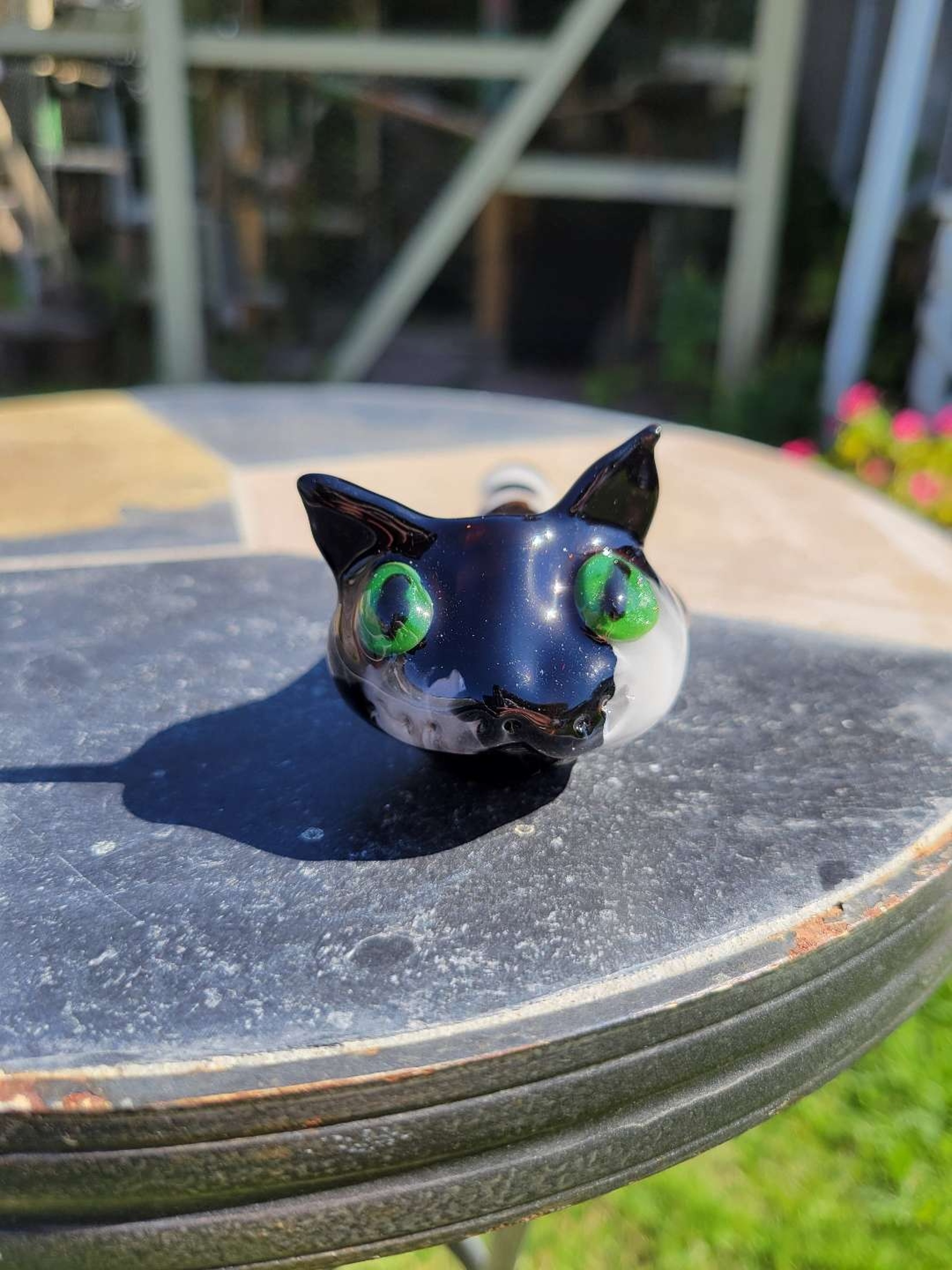 Preview pic of Piebald kitty