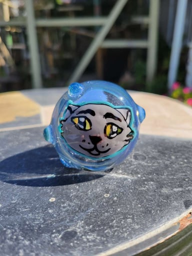 Preview pic of Kitty cat discflip