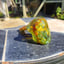 Small image 3