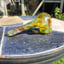 Small image 6